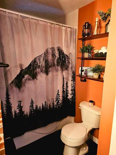 10506 98 Avenue, Grande Cache, AB - Indoor Photo Showing Bathroom