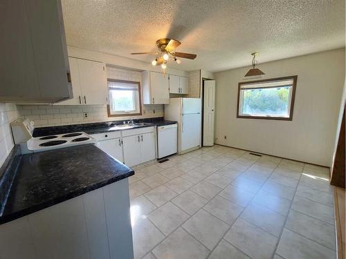 4805 Doyle Avenue, Donnelly, AB - Indoor Photo Showing Kitchen With Double Sink