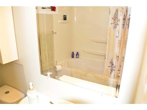 10115 105 Avenue, Peace River, AB - Indoor Photo Showing Bathroom