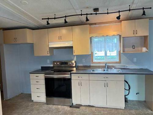 10205 112 Avenue, High Level, AB - Indoor Photo Showing Kitchen With Double Sink