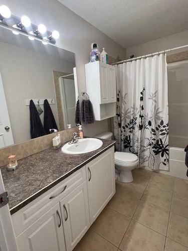 46 Dogwood, High Level, AB - Indoor Photo Showing Bathroom