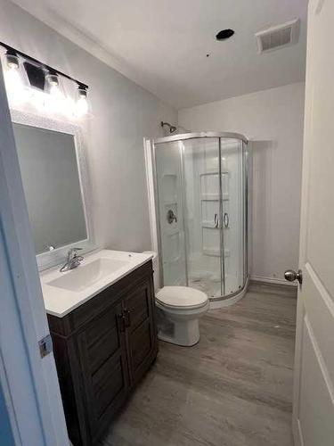 46 Dogwood, High Level, AB - Indoor Photo Showing Bathroom