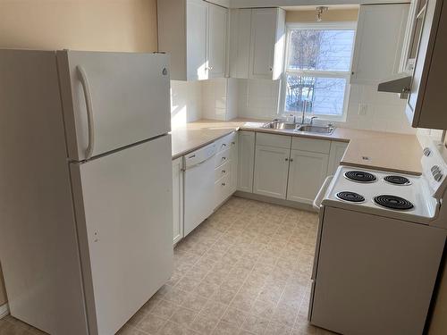 #2, 11019 99 Street, Peace River, AB - Indoor Photo Showing Kitchen With Double Sink