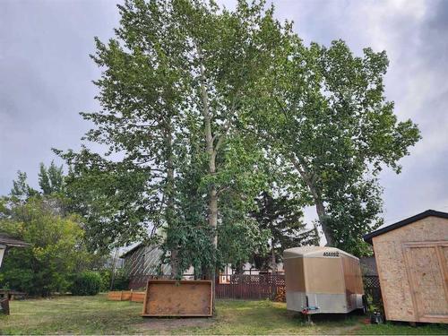 10135 103 Avenue, Hythe, AB - Outdoor With Backyard