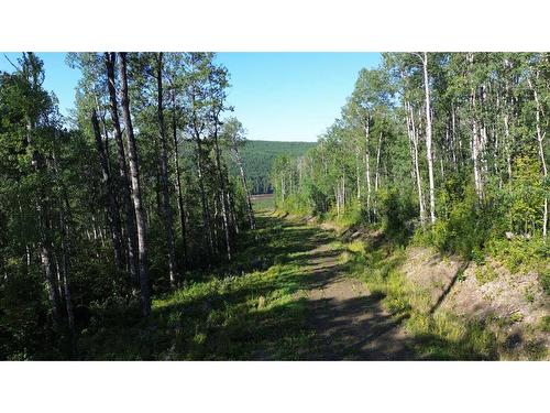 Lot 1-83024 702A Road, Wembley, AB 