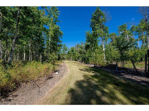 740081 Range Road 54, Rural Grande Prairie No. 1, County Of, AB - Outdoor With View