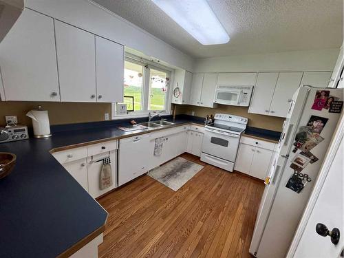 6800 100 Avenue, Peace River, AB - Indoor Photo Showing Kitchen With Double Sink