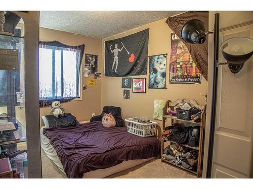 10806 100 Avenue, High Level, AB - Indoor Photo Showing Bedroom