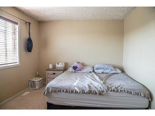 10808 100 Avenue, High Level, AB - Indoor Photo Showing Bedroom