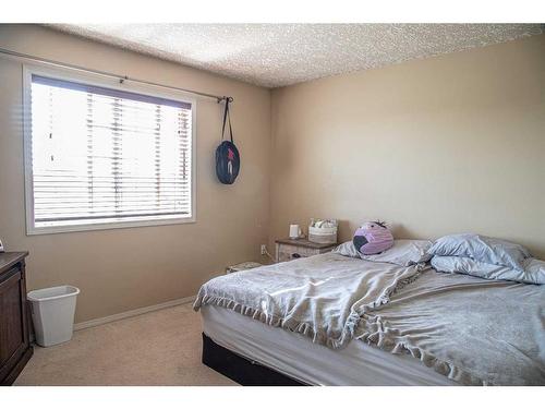 10808 100 Avenue, High Level, AB - Indoor Photo Showing Bedroom