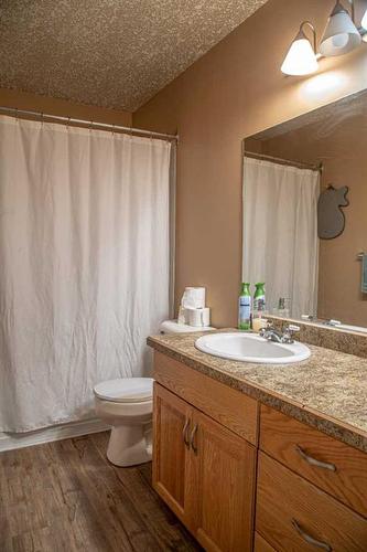 10808 100 Avenue, High Level, AB - Indoor Photo Showing Bathroom