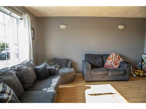 10808 100 Avenue, High Level, AB - Indoor Photo Showing Living Room