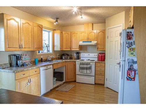 10808 100 Avenue, High Level, AB - Indoor Photo Showing Kitchen With Double Sink