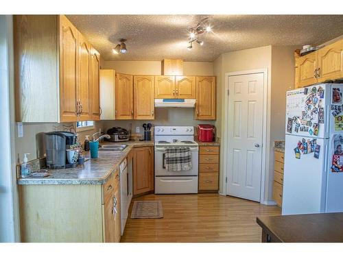 10808 100 Avenue, High Level, AB - Indoor Photo Showing Kitchen With Double Sink