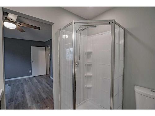 4801 49 Ave, Grimshaw, AB - Indoor Photo Showing Bathroom