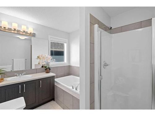 168 Legacy Crescent Se, Calgary, AB - Indoor Photo Showing Bathroom