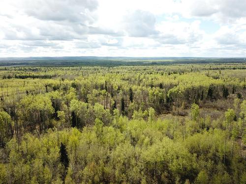 92 Range, Rural Saddle Hills County, AB 