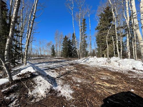 92 Range, Rural Saddle Hills County, AB 