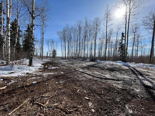 92 Range, Rural Saddle Hills County, AB 