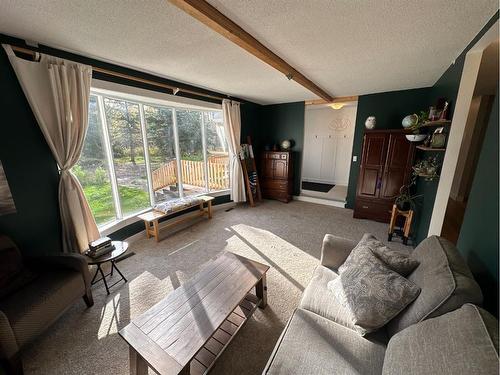 89 843058 Rge Rd 222, Rural Northern Lights, County Of, AB - Indoor Photo Showing Living Room