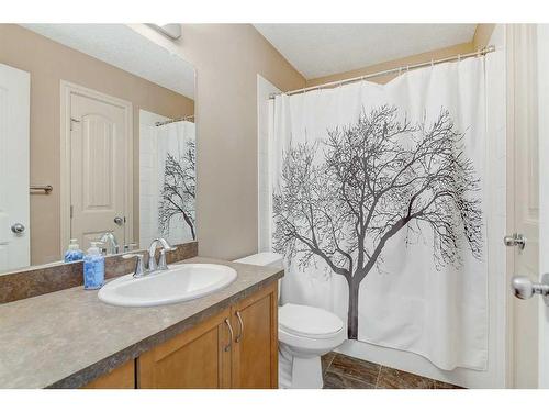 6502 O'Brien Lake Drive Se, Grande Prairie, AB - Indoor Photo Showing Bathroom