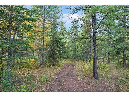 17-704016 Range Road 70, Rural Grande Prairie No. 1, County Of, AB - Outdoor With View