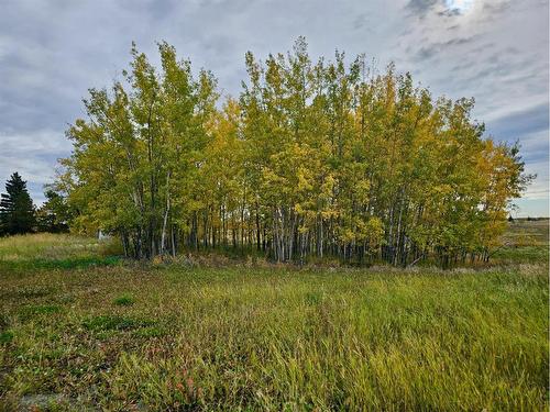 68362 43 Highway, Valleyview, AB - Outdoor With View