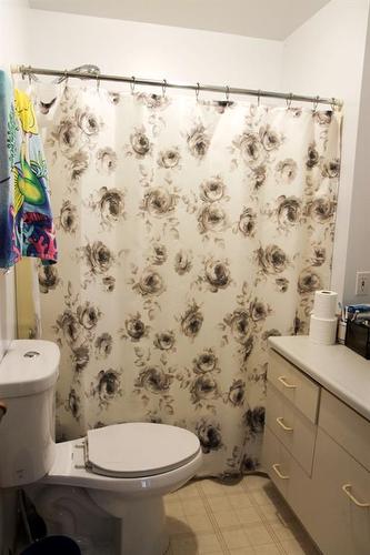 84434 Hwy 688, Rural Northern Sunrise County, AB - Indoor Photo Showing Bathroom