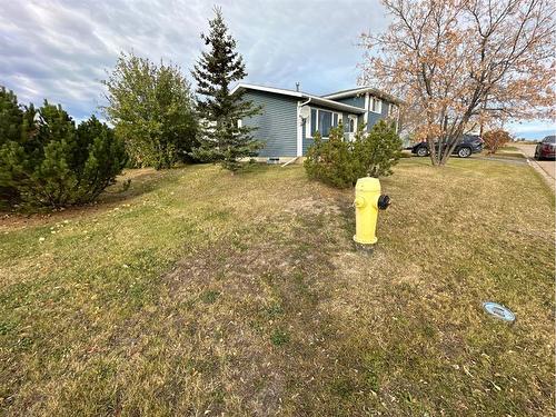 4702 54 Avenue, Grimshaw, AB - Outdoor