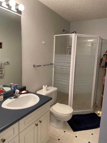 411 1St Street Ne, Manning, AB - Indoor Photo Showing Bathroom