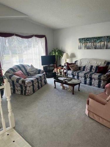 411 1St Street Ne, Manning, AB - Indoor Photo Showing Living Room