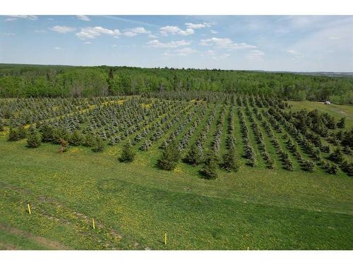 On Range Road 62, Rural Grande Prairie No. 1, County Of, AB 