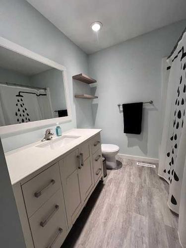 10015 100 Street, High Level, AB - Indoor Photo Showing Bathroom