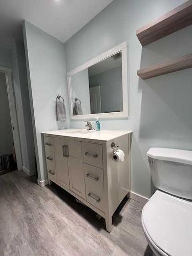 10015 100 Street, High Level, AB - Indoor Photo Showing Bathroom