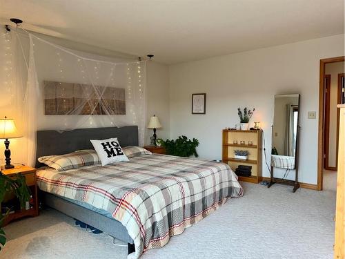 7213 96 Street, Peace River, AB - Indoor Photo Showing Bedroom