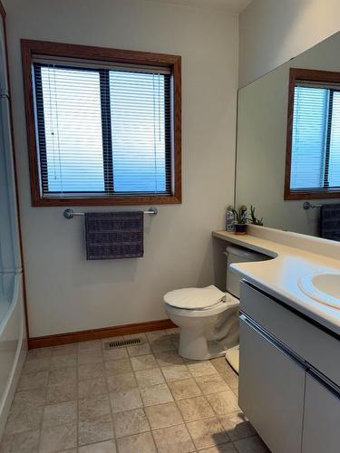 7213 96 Street, Peace River, AB - Indoor Photo Showing Bathroom