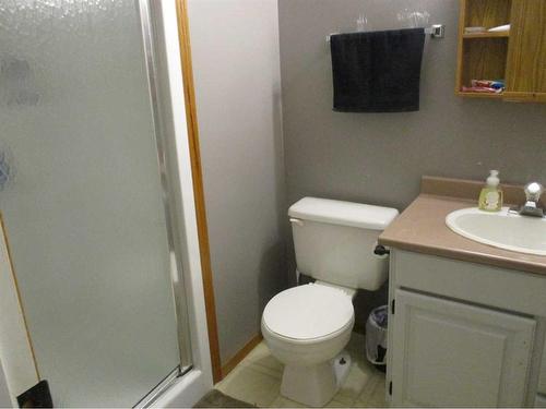 921007 Highway 35, Rural Northern Lights, County Of, AB - Indoor Photo Showing Bathroom