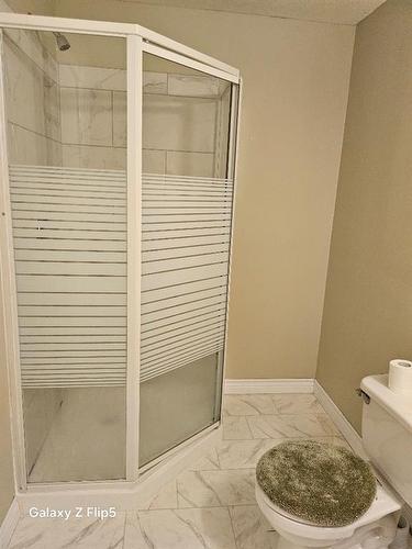 3 Pinnacle Boulevard, Grande Prairie, AB - Indoor Photo Showing Bathroom