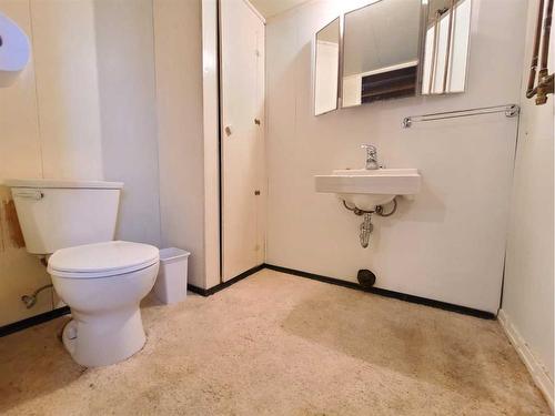 9814 95 Avenue, Peace River, AB - Indoor Photo Showing Bathroom