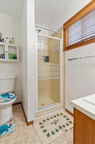 7833 Mission Heights Drive, Grande Prairie, AB - Indoor Photo Showing Bathroom