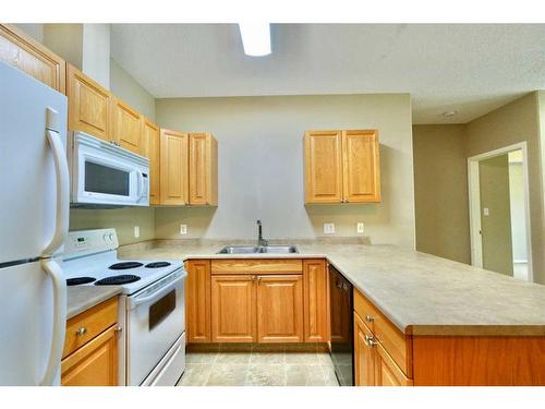 404-9810 94 Street, Peace River, AB - Indoor Photo Showing Kitchen With Double Sink