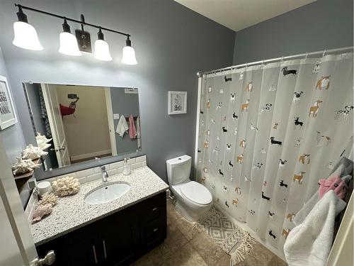 222 Range Road, Rural Northern Lights, County Of, AB - Indoor Photo Showing Bathroom