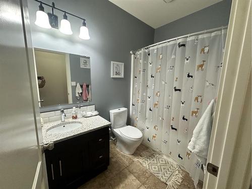 222 Range Road, Rural Northern Lights, County Of, AB - Indoor Photo Showing Bathroom