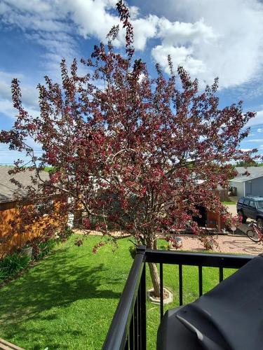 310 Brassard, Mclennan, AB - Outdoor With View