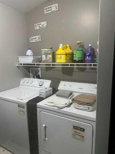 9904 107 Street, High Level, AB - Indoor Photo Showing Laundry Room