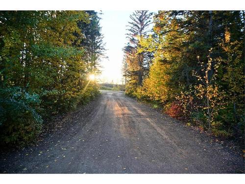 15165 Twp Rd 1062, Rural Mackenzie County, AB - Outdoor With View