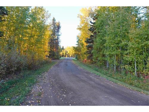 15165 Twp Rd 1062, Rural Mackenzie County, AB - Outdoor With View