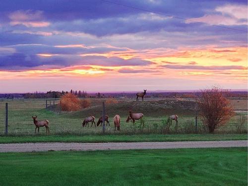 931010-233 Range Road, Rural Northern Lights, County Of, AB - Outdoor With View