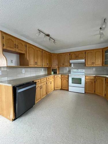 10107 101 Avenue, High Level, AB - Indoor Photo Showing Kitchen