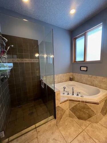 7 Chinook, High Level, AB - Indoor Photo Showing Bathroom